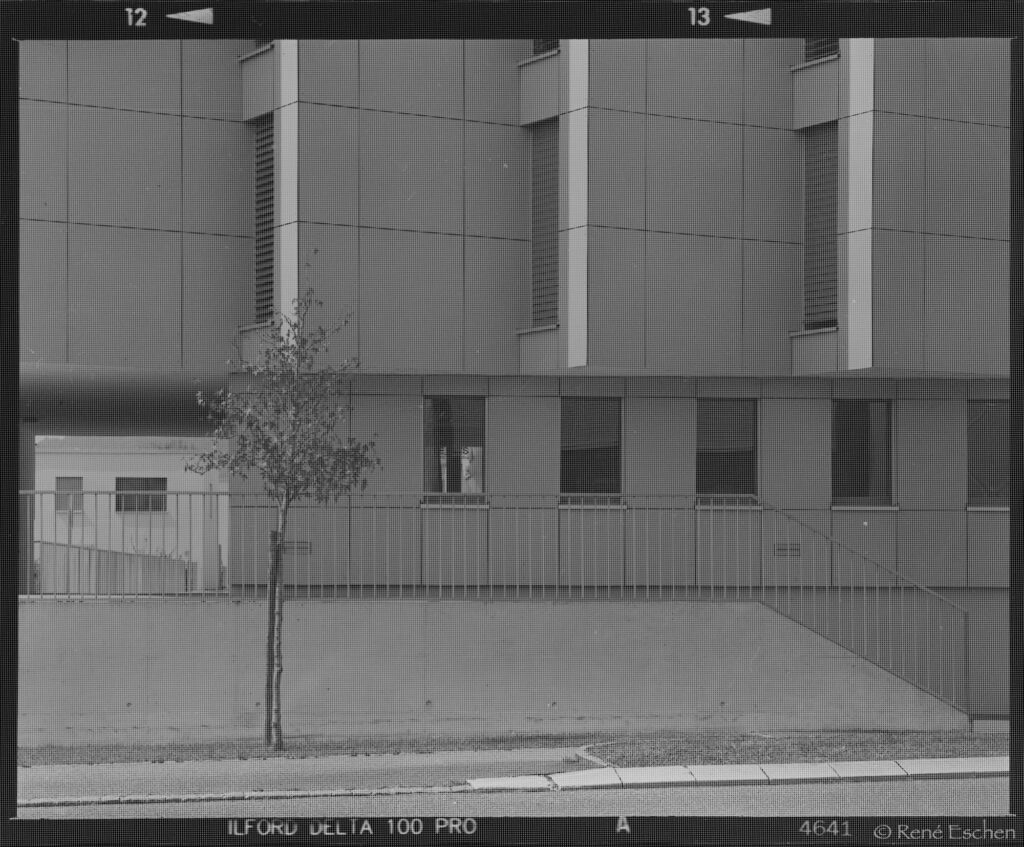 Scanned large format negative